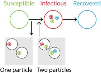 Why multipartite viruses infect plants rather than animals
