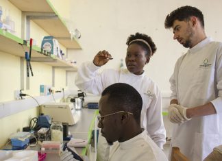 Enzyme toolkit makes biotechnology globally accessible – Stanford University News