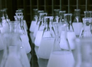 Global and United States White Biotechnology Market Regional Forecast 2019 – Novozymes, Global Bioenergies, Metabolic Explorer, Amyris, Gevo – Market News Reports