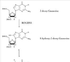 Global Deoxyguanosine Market 2019 – Nantong Qiuzhiyou Bioscience&biotechnology , Tuoxin Group , Ribio , Hongene Biotechnology – Industry News Hour