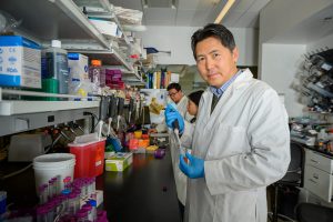 Nanoparticles and Cancer Drug Combined to Target Inflammatory Neutrophils
