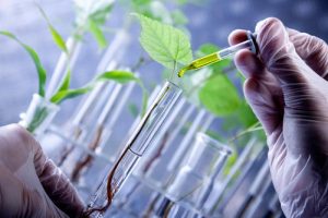 Plant Biotechnology Services Market in North America Size, Growth Scenarios, Trends and Study Report 2017 – Markets Gazette 24