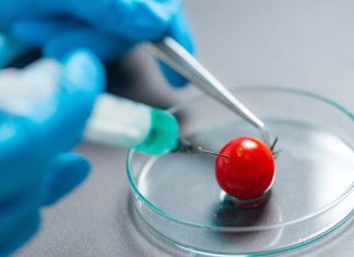 UK faced with EU-US biotechnology dilemma post-Brexit – EURACTIV