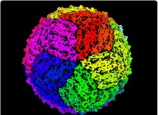 A recombinant platform for flavivirus vaccines and diagnostics using chimeras