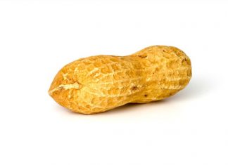 Breakthrough research develops novel vaccine poised to cure peanut allergies