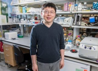 Cyrus Biotechnology and CRISPR pioneers team up to boost gene-editing therapies – Yahoo News