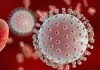 Developments in the search for a Zika vaccine – success in mice and a new platform for flavivirus vaccines