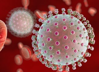 Developments in the search for a Zika vaccine – success in mice and a new platform for flavivirus vaccines