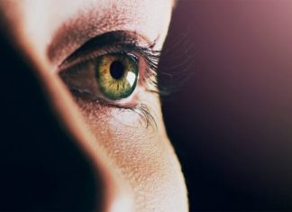 Explore partnerships in ophthalmic biotechnology – SciTech Europa