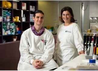 Hybrid antibiotics show promising results in eradicating deadly staph infections