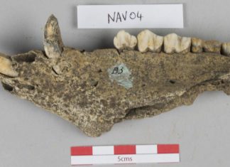 Large scale feasts at ancient capital of Ulster drew crowds from across Iron Age Ireland