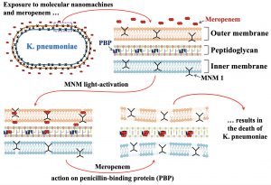 Nanoscale Gimlet May Give Weakened Antibiotics a Kick