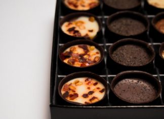 Truffle’s BioMedTech fund filled with €250m – European Biotechnology