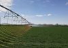 Water management grows farm profits
