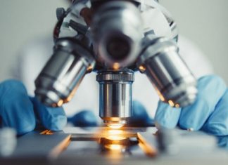 What’s next for the biotechnology market? – SciTech Europa