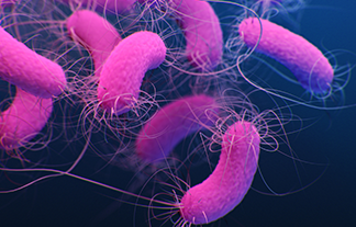 Antabio SAS advances cystic fibrosis programme – European Biotechnology