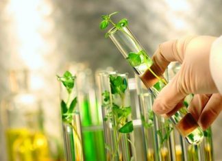 Global Biotechnology Separation Systems Market 2020 – Danaher, Thermo Fisher Scientific, BD, Merck, GE Healthcare – Expedition 99
