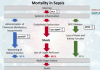 Fighting sepsis mortality – European Biotechnology