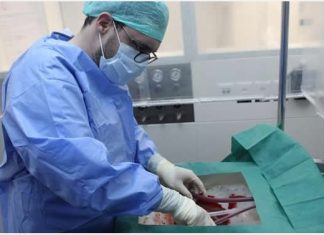 Human liver manages to stay alive outside the body for a week