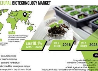 Increasing Per Capita Income to Augment Agricultural Biotechnology Market Growth – Dagoretti News