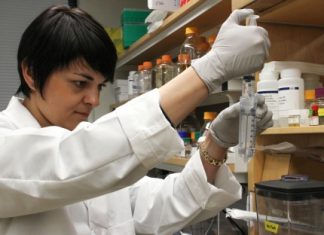 Making real a biotechnology dream: nitrogen-fixing cereal crops – MIT News