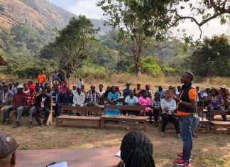 Marburg virus found in Sierra Leone bats