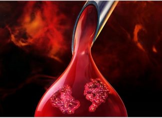 New technology systematically identifies drug targets in living animals