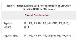 Silencing Breast Cancer Genes Using Morpholino Embedded DNA-Tile-AuNPs Nanostructures