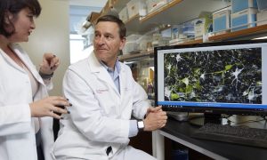Study Finds Parkinson’s Disease May Be Predestined before Birth, and Identifies Skin Cancer Drug as Potential Treatment