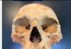 Study puts the ‘Carib’ in ‘Caribbean,’ boosting credibility of Columbus’ cannibal claims