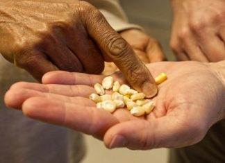 A genetic map for maize