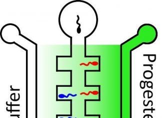 A new way to assess male fertility