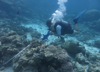 Coral Reef Research Collection wins $100,000 International Science Prize
