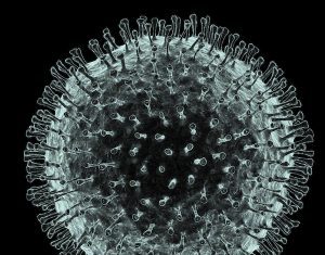 Coronavirus Early Pathology Examined in Lung Tissue of Symptomless Patients