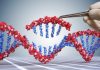 FDA, USDA and EPA launch joint biotechnology website – NutraIngredients-usa.com
