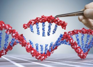 FDA, USDA and EPA launch joint biotechnology website – NutraIngredients-usa.com