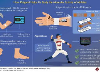 How kirigami can help us study the muscular activity of athletes