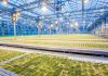 Improving food production with agricultural technology and plant biotechnology; free online course – Mirage News