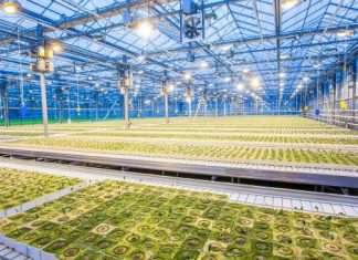 Improving food production with agricultural technology and plant biotechnology; free online course – Mirage News