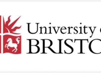 Lecturer in Medical Biotechnology job with UNIVERSITY OF BRISTOL | 197240 – Times Higher Education (THE)
