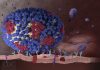 New tool monitors real time mutations in flu