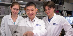 Novel Molecular Pathway Involved in the Immunotherapy Response Identified