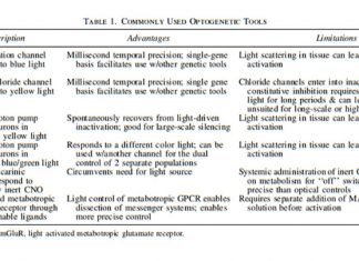 Optogenetic Modulation for the Treatment of Traumatic Brain Injury