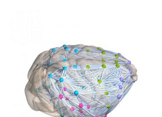 Physics meets brain science in Denver