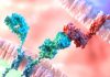 Researchers develop an emergency stop switch for CAR T-cell therapies