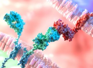 Researchers develop an emergency stop switch for CAR T-cell therapies