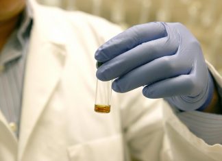 Scientists receive CPRIT grants for lung, kidney cancer research
