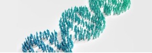 The importance of patents in biotechnology – John Butcher – UK Human Rights Blog
