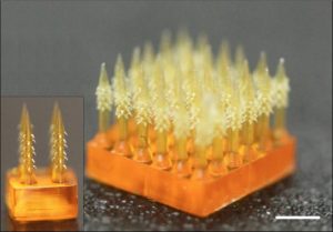 Tissue-Attaching Parasite-Mimicking Microneedles May Replace Hypodermic Needles