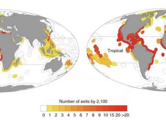 Tropical nations worst hit by climate-related fish shifts